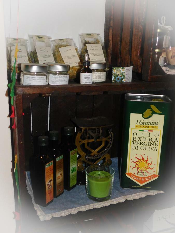 Casale Del Sole Garda Acomodação com café da manhã Monzambano Exterior foto